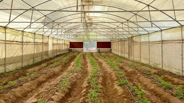 Current Greenhouse to upgrade with aquaponics